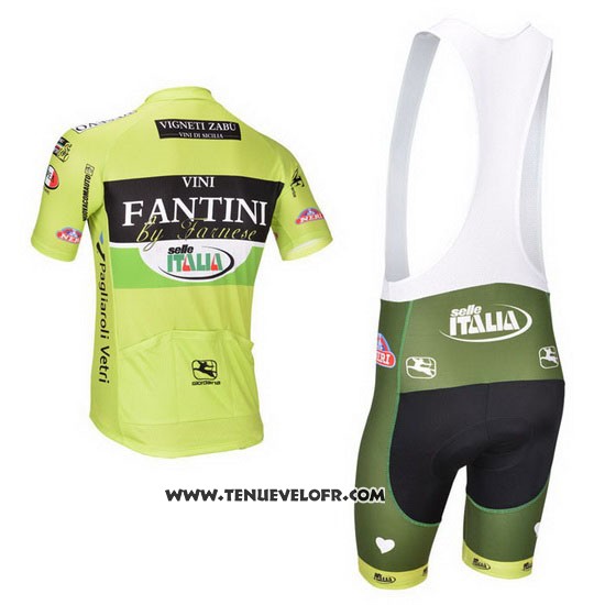 2013 Maillot Ciclismo Vini Fantini Vert et Noir Manches Courtes et Cuissard